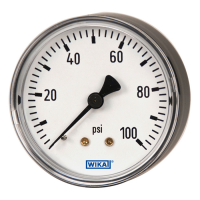 Bourdon Tube Pressure Gauge Type 111.12, Black Plastic or Painted Steel Case Standard Series - Center Back Mount