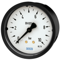 Bourdon Tube Pressure Gauge Type 111.16 With Integrated Panel Mount Flange