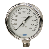 Bourdon Tube Pressure Gauges Industrial Stainless Steel Gauge Type 232.54 - Dry Case Type 233.54 - Liquid-filled Case