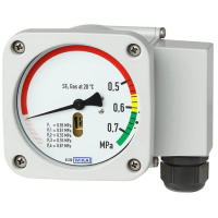 Gas density monitor with reference chamber Model GDM-RC-100